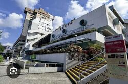 Beauty World Centre (D21), Shop House #530256821
